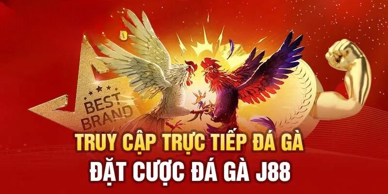 Đa dạng thể loại đá gà casino hấp dẫn nên lựa chọn